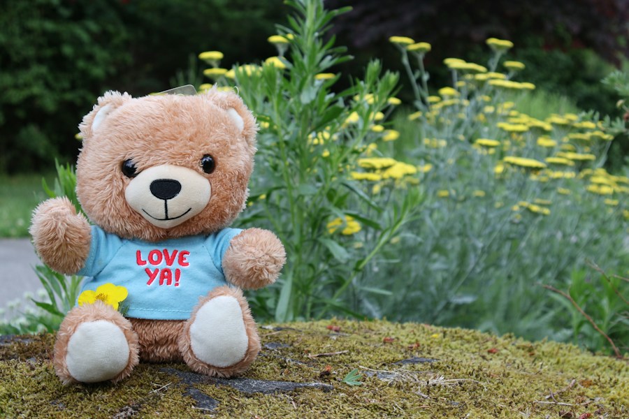 Brown teddy bear wearing a blue shirt in a garden